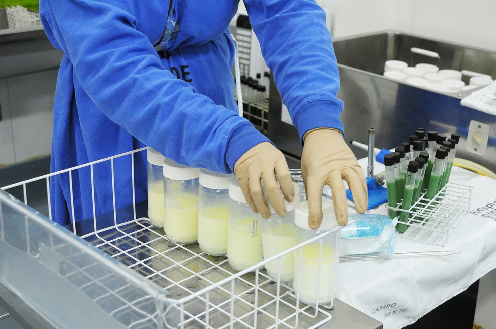 Doações de leite humano beneficiam mais de 8 mil recém-nascidos no RN — Foto: Breno Esaki/Agência Saúde