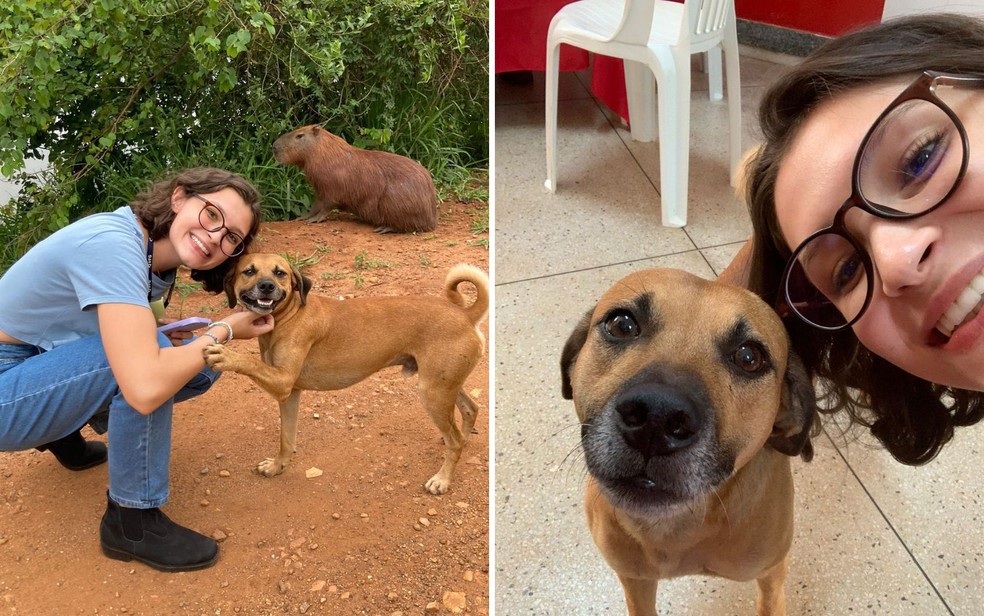 Cachorro caramelo Zé e a estudante Daniela Silveira, na Universidade Federal de Goiás (UFG) — Foto: Arquivo pessoal/Daniela Silveira