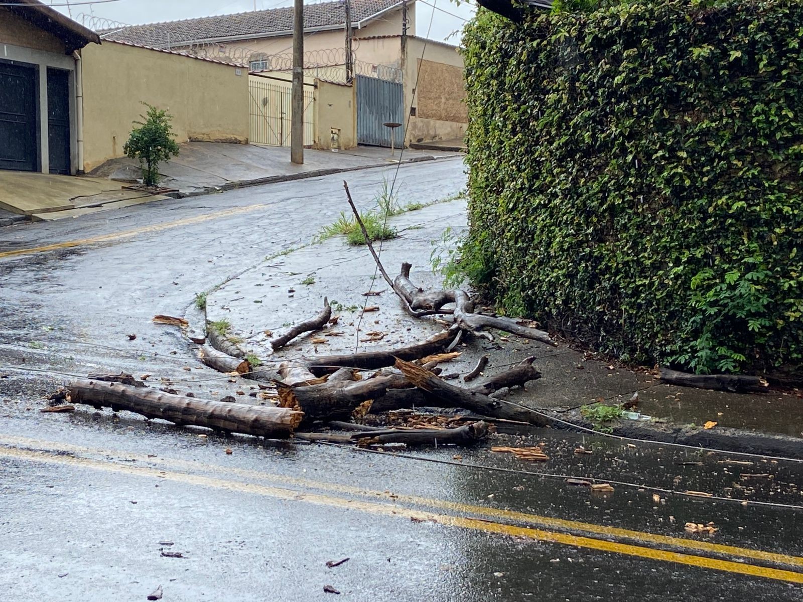 Árvore cai, interdita rua de Piracicaba e deixa moradores sem energia no bairro Vila Fátima 