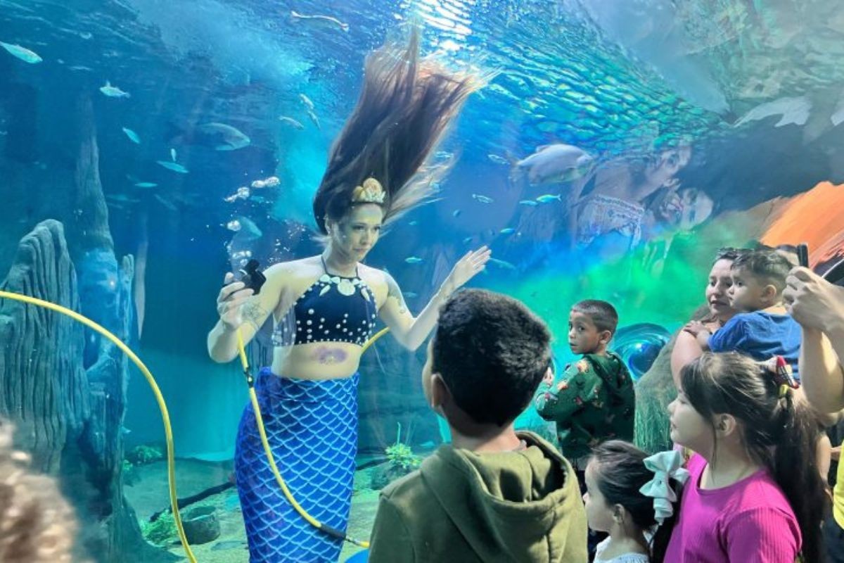 Sereia em aquário e brincadeiras marcam o fim de semana do Dia das Crianças em MS; veja a 'agendinha'