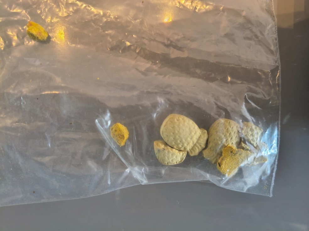 Apreens&atilde;o ocorreu em Ara&ccedil;atuba (SP) &mdash; Foto: Divulga&ccedil;&atilde;o / Pol&iacute;cia Militar