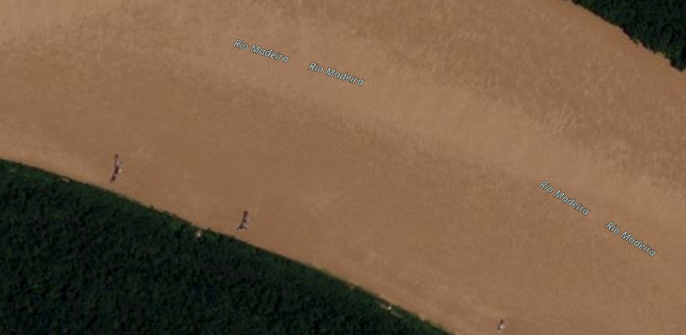 Imagem de satélite encontrou balsas espalhadas em trecho do Rio Madeira. — Foto: Divulgação/Greenpeace Brasil