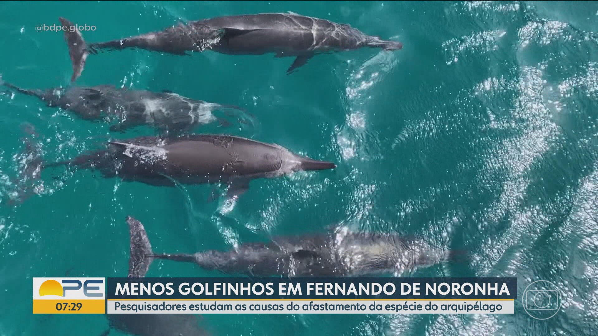VÍDEOS: Bom Dia PE de quinta-feira, 16 de julho de 2026