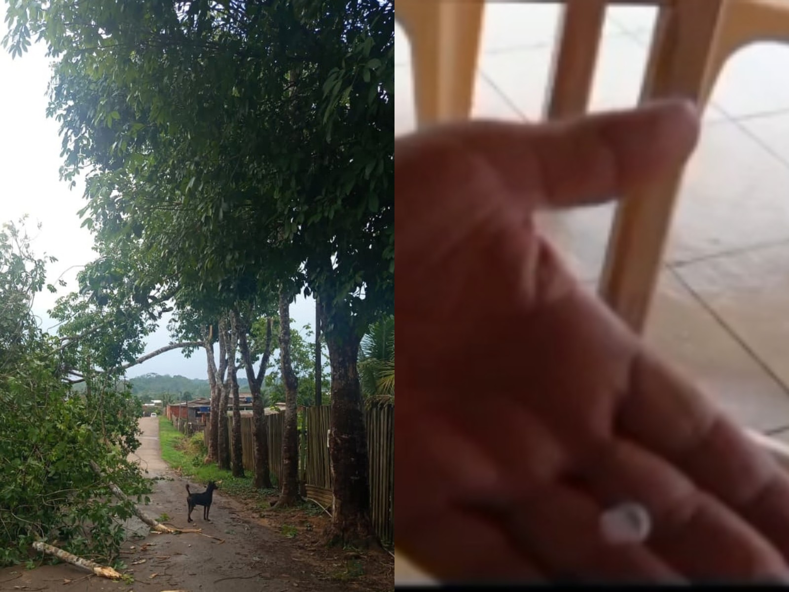 VÍDEO: Temporal com granizo no AC causa destelhamentos, derruba árvore e provoca queda de energia