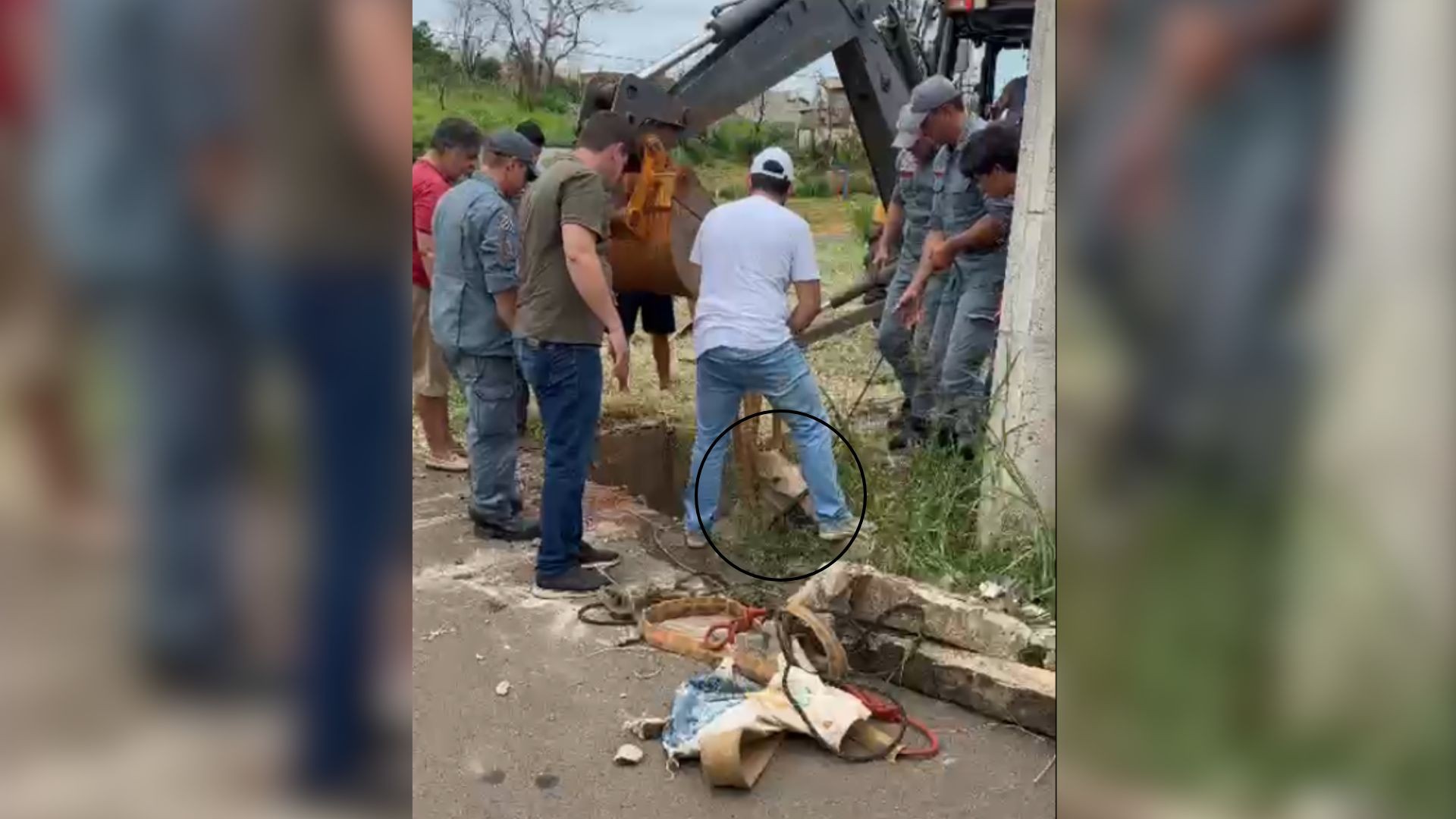 VÍDEO: égua é resgatada após cair dentro de bueiro em Bady Bassitt