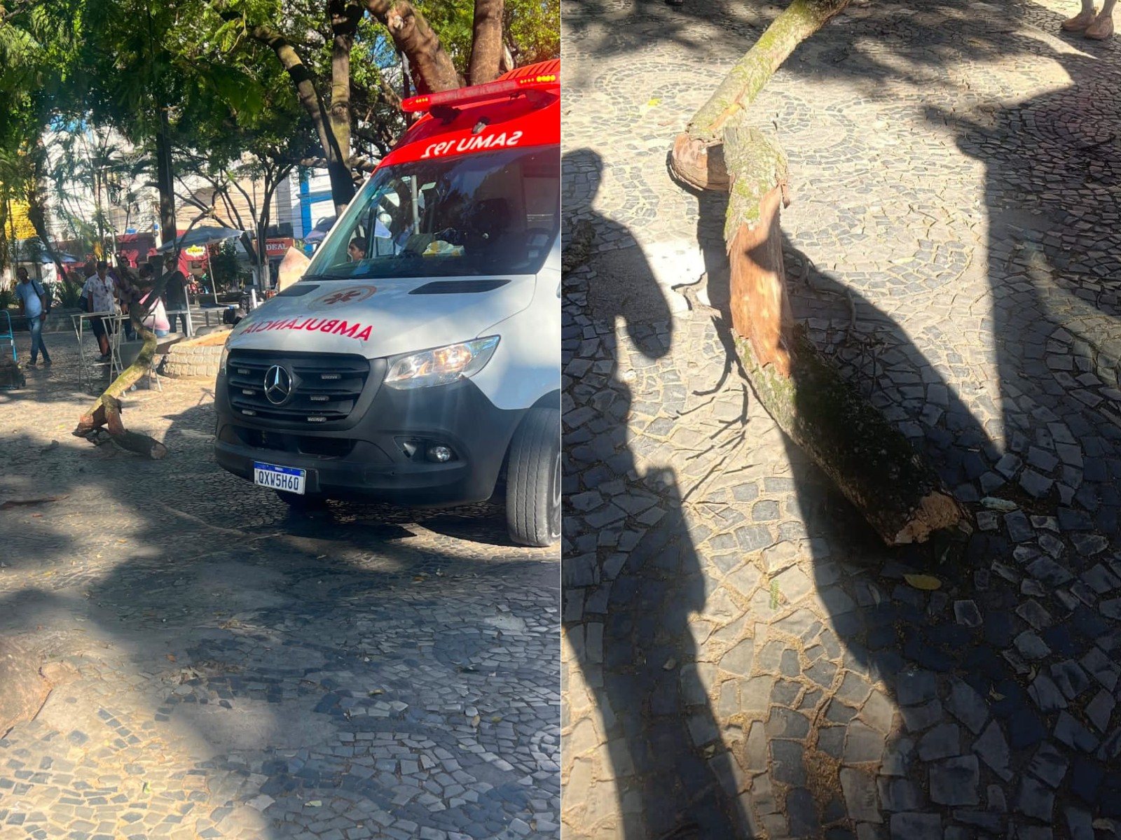 Idoso é atingido por galho de árvore em praça de Teófilo Otoni e fica em estado grave