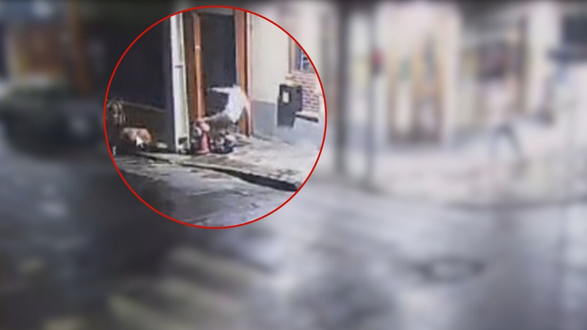 Advogado é morto e outro baleado após discussão em bar no Centro de Porto Alegre, diz polícia