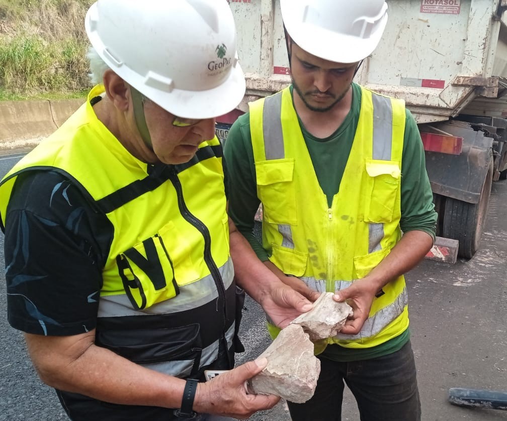 VÍDEO: Fóssil de dinossauro é encontrado em escavação de obra de rodovia em MG