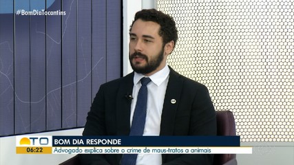 Advogado fala sobre o crime de maus-tratos aos animais no Bom Dia Responde