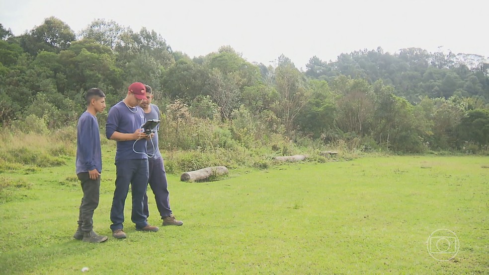 No Paraná, reflorestamento da Mata Atlântica ganha reforço humano e tecnológico — Foto: Reprodução/TV Globo