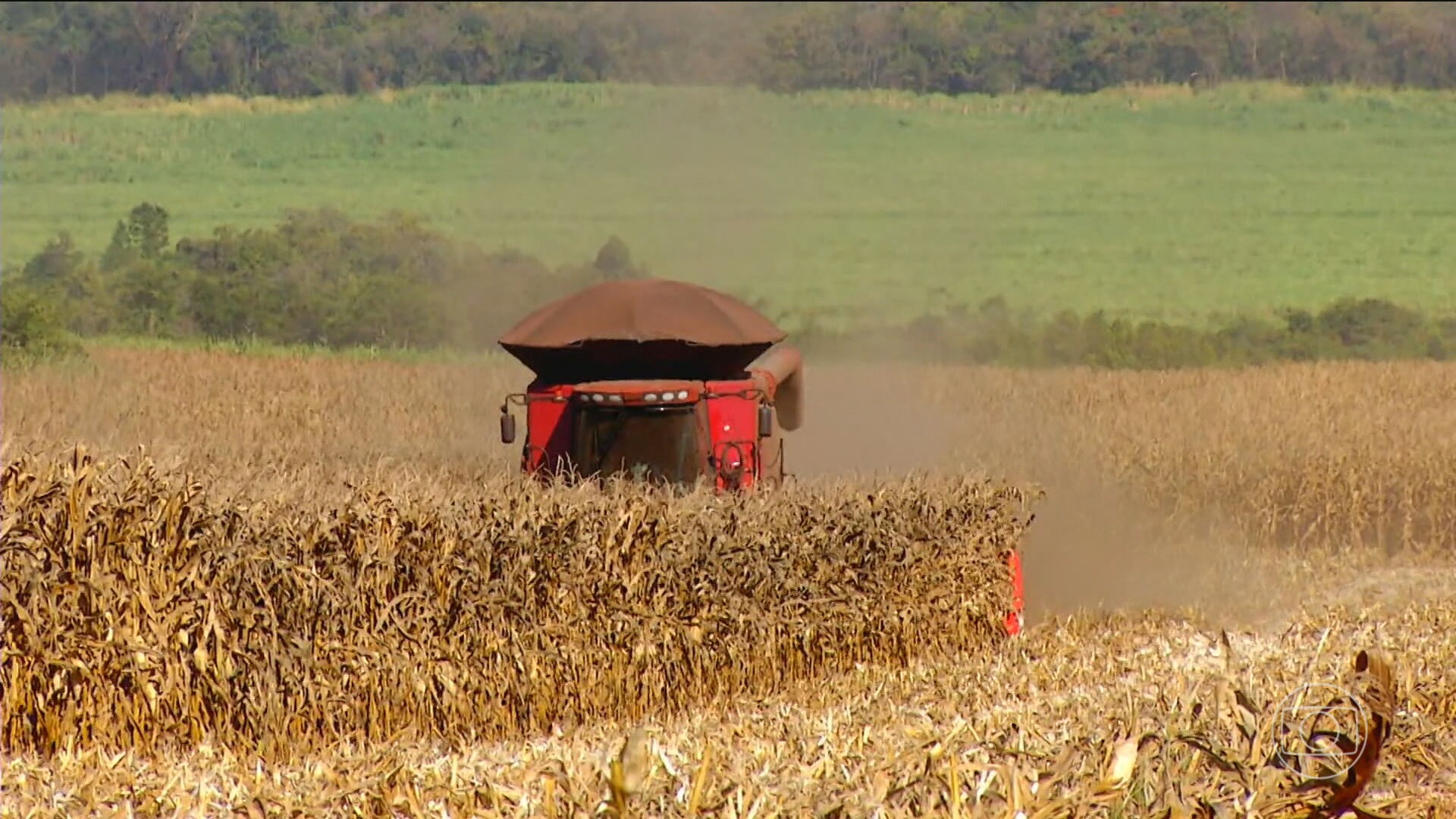 Brasil prevê safra recorde de grãos, mas quase 40% da colheita não têm onde ser estocados 