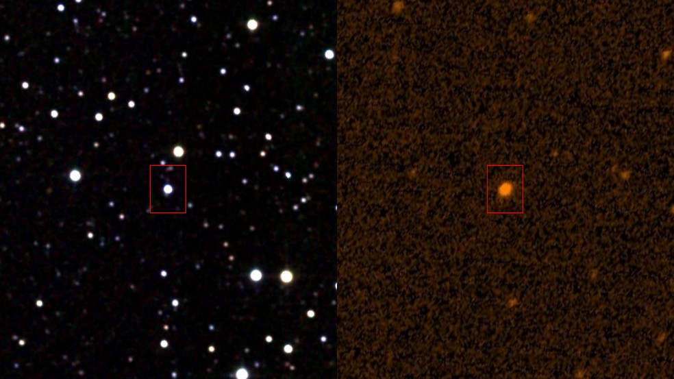 Estrela de Tabby em infravermelho (esquerda) e ultravioleta (direita). — Foto: Wikimedia/Domínio Público