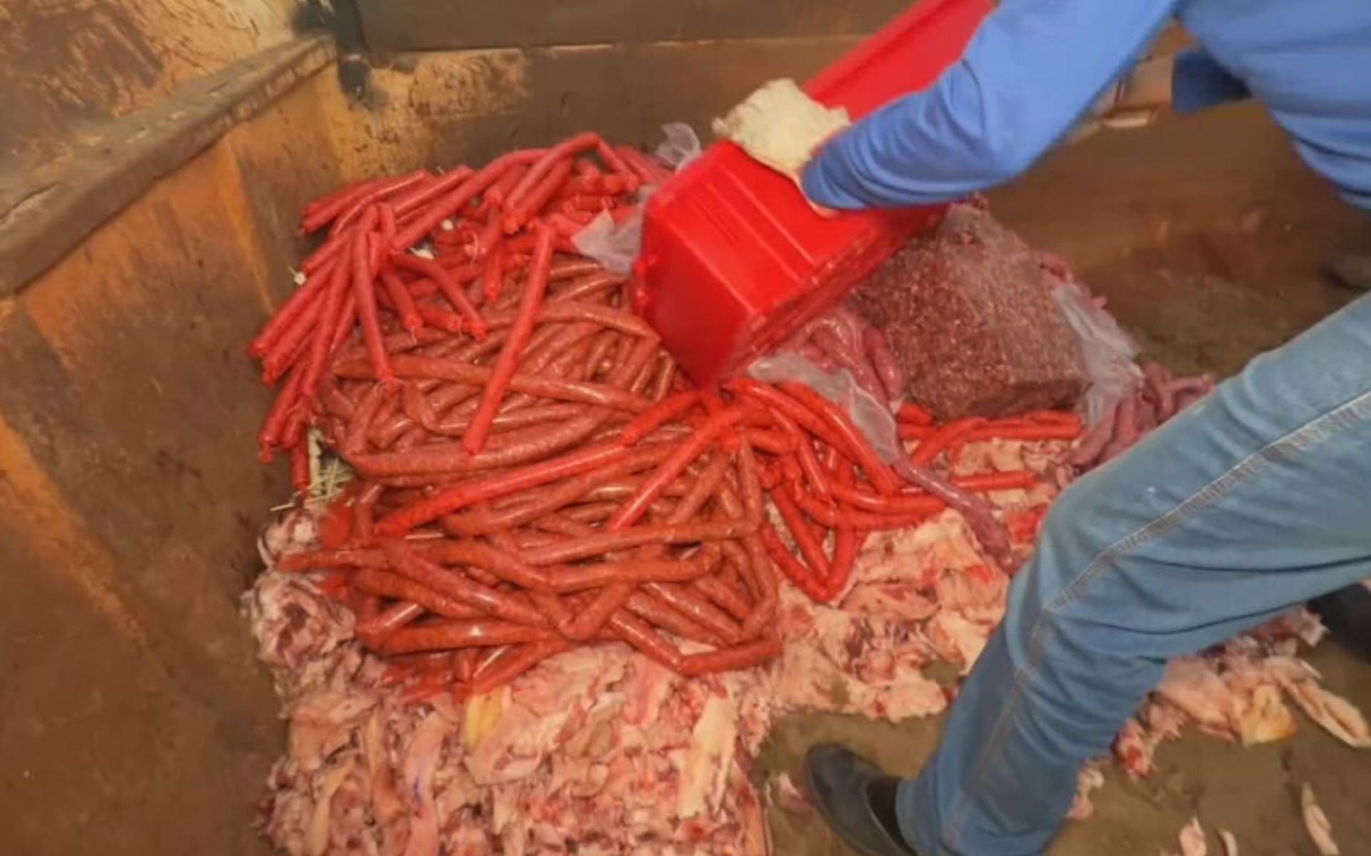 Vigilância Sanitária descobre fábrica clandestina de carne sem procedência e em condições inadequadas de armazenamento em Araçatuba