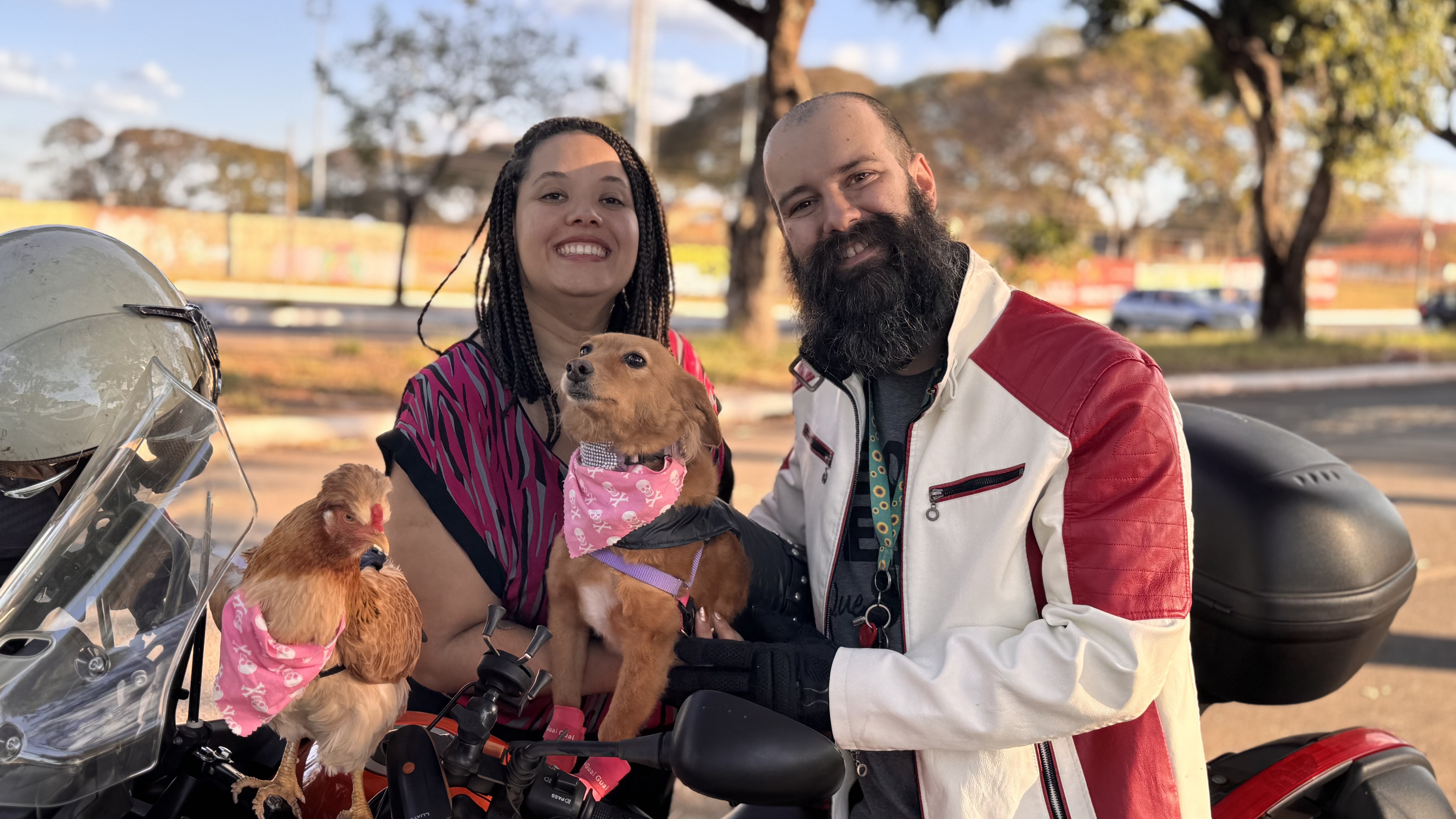 Pets motociclistas conquistam fãs e viram celebridades no Capital Moto Week
