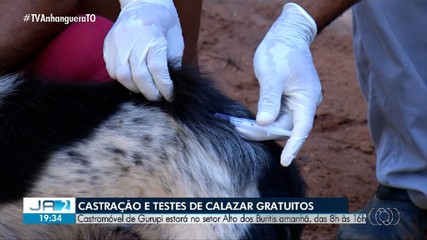 Castramóvel de Gurupi estará no setor Alto dos Buritis neste sábado; saiba mais