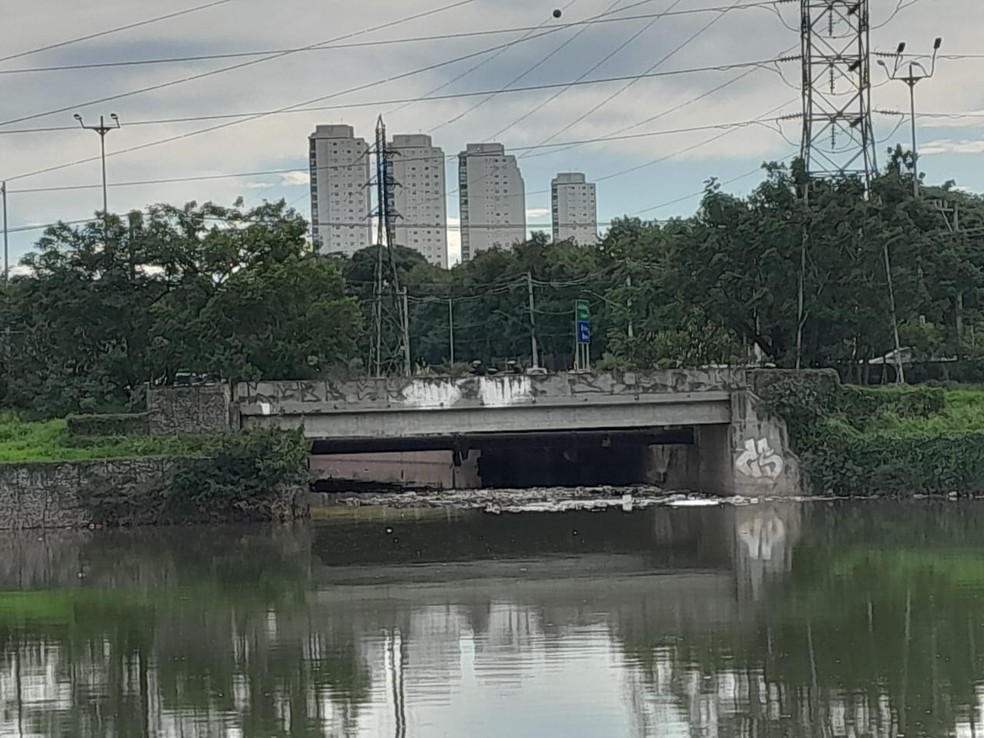Lixo boiando na margem oposto do Rio Pinheiros onde estava a 'Prainha de Paulista'. — Foto: Rodrigo Rodrigues/g1