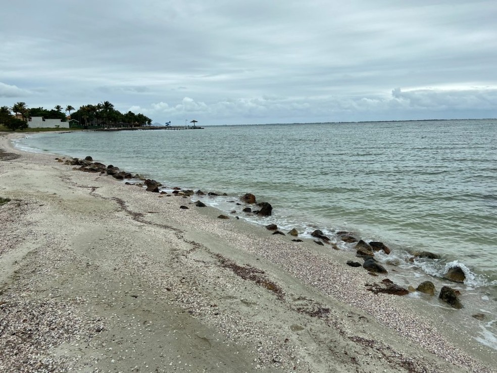 Certificada pela primeira vez na temporada passada, a praia lagunar de Pedras de Sapiatiba, em São Pedro da Aldeia, busca a renovação da Bandeira Azul para a temporada 2024/2025 — Foto: Divulgação / Prolagos