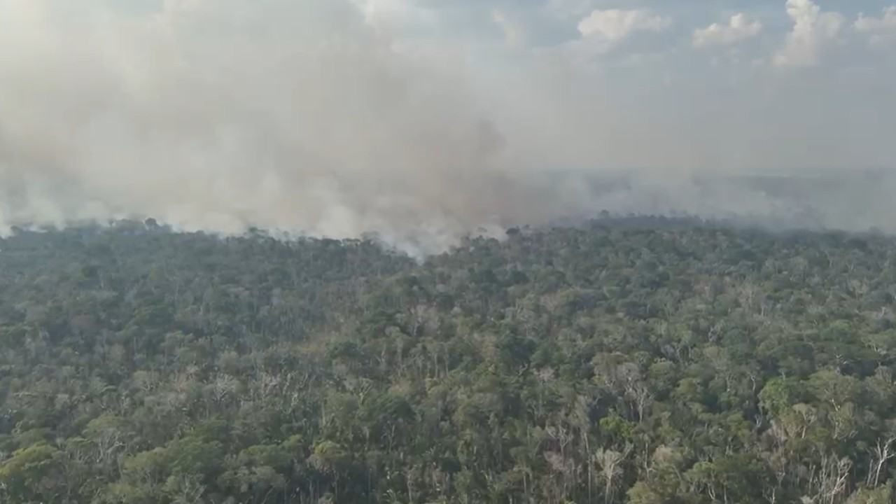 Incêndio florestal na AM-254 é extinto; vídeos mostram fogo se alastrando rapidamente