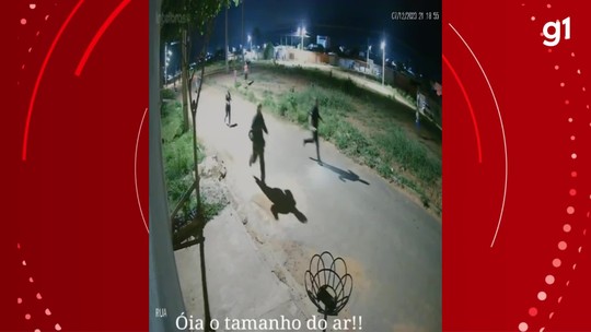 Aparição de tamanduá-bandeira em rua mobiliza bombeiros e moradores em Bocaiuva; VÍDEOS - Programa: G1 Inter TV MG 