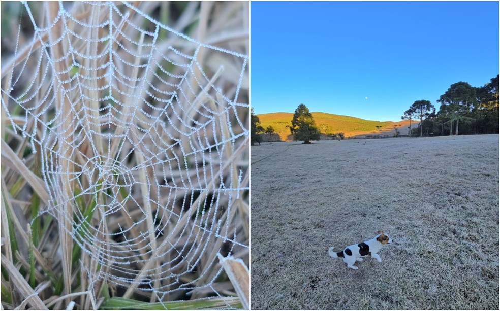 SC tem sequência gelada de inverno com amanhecer abaixo de -2ºC e geada — Foto: Mycchel Legnaghi/Divulgação