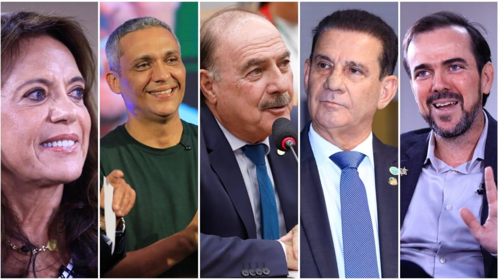 Quaest mostra intenção de voto para o Senado em Goiás — Foto: Montagem/g1