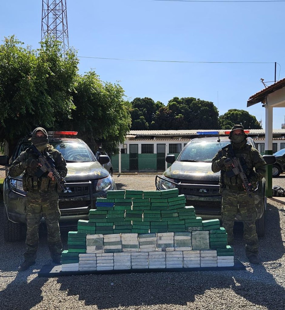 Os 159 tabletes de cloridrato de cocaína somam 167,5 quilos, com valor estimado em R$ 4,1 milhões — Foto: SESP