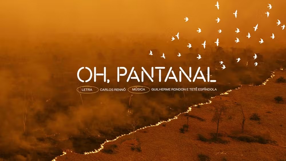 SOS Pantanal lança clipe em defesa do Pantanal