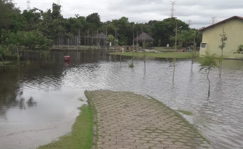 Pista de caminhada do Parque Centenário tem trecho interditado por causa de alagamento — Foto: Prefeitura de Mogi das Cruzes/Divulgação