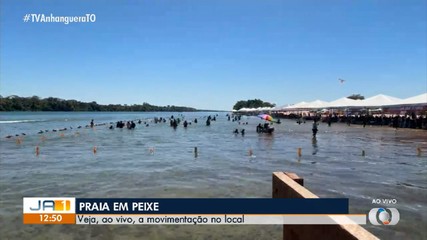 Peixe recebe turistas e visitantes durante a temporada de praias na cidade