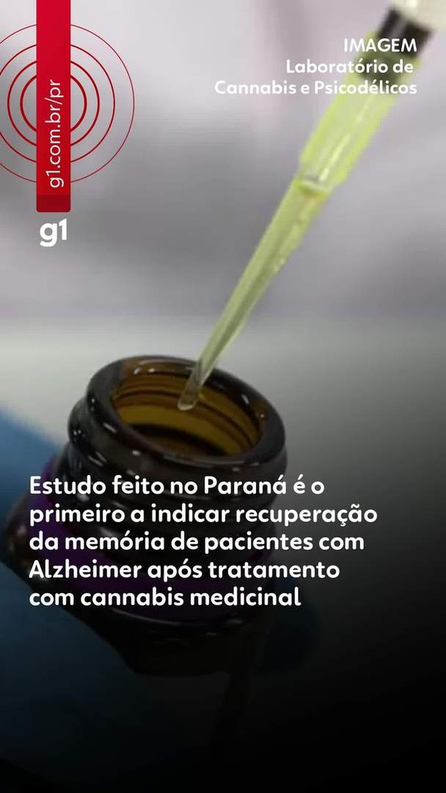 Estudo no PR é o primeiro a indicar recuperação da memória de pacientes com Alzheimer