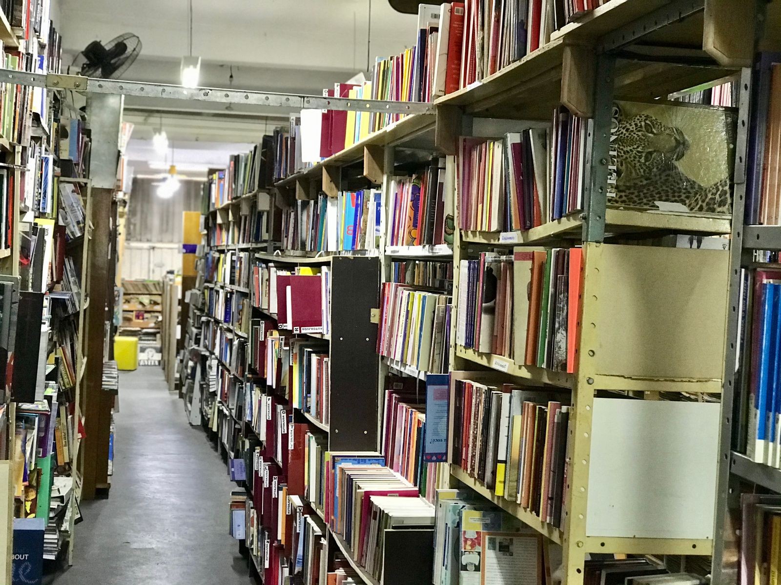 Livros do século XIX, discos autografados e museu de brinquedos: sebo em Jundiaí tem um dos maiores acervos de colecionismo no Brasil