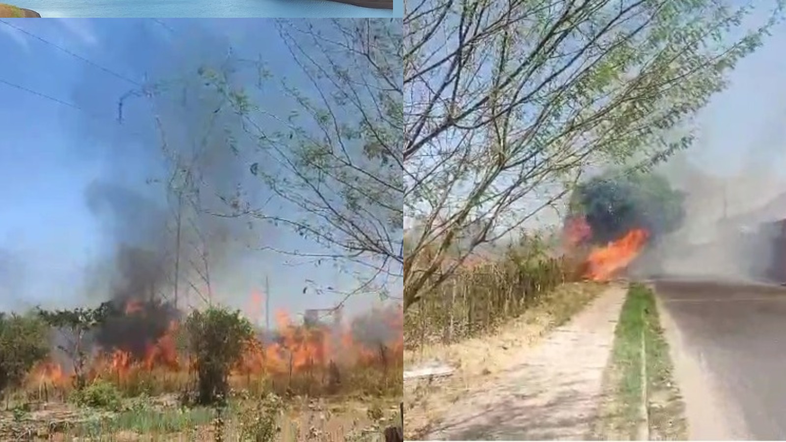 Vídeo: incêndio atinge trecho de horta do Dirceu e assusta moradores em Teresina