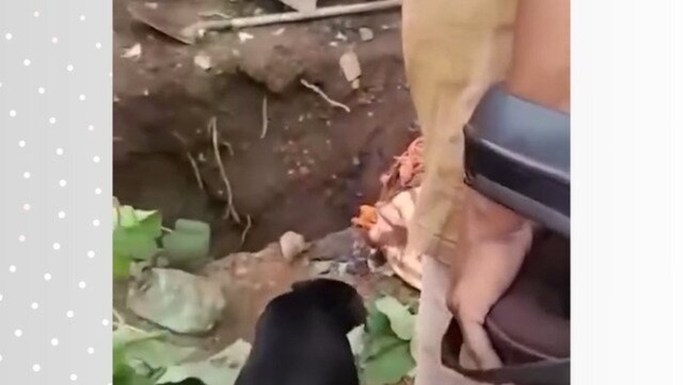 Cova onde homem foi enterrado após supostamente ser morto pela esposa — Foto: Reprodução/Alta Tensão - TO