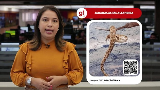 Confira as notícias desta quarta-feira no g1 em 1 minuto - 2ª edição.