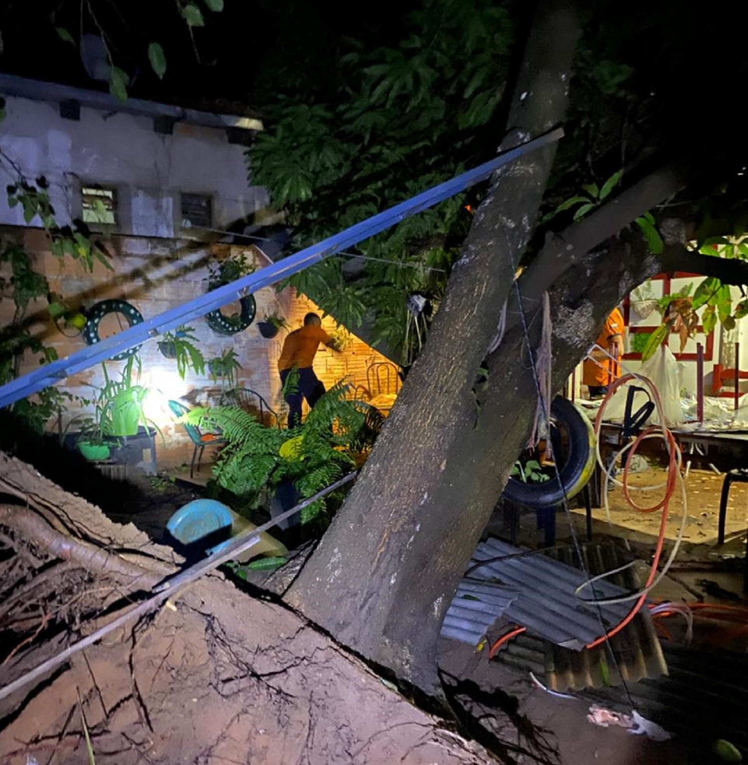 Temporal derruba árvores, destrói telhados e causa estragos em Palmas