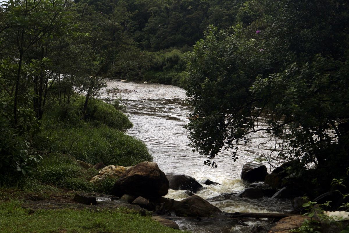 Homem é encontrado morto e outro desaparece após entrarem no Rio Perequê, SP