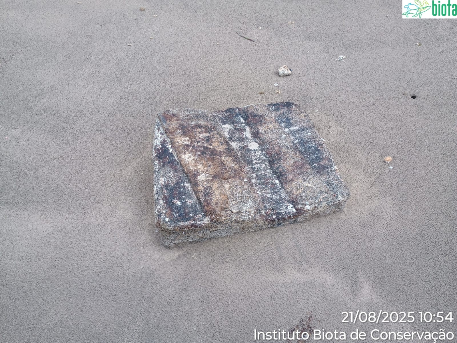 Fardos de borracha voltam a aparecer em praias de Alagoas seis anos após 'caixas misteriosas' 