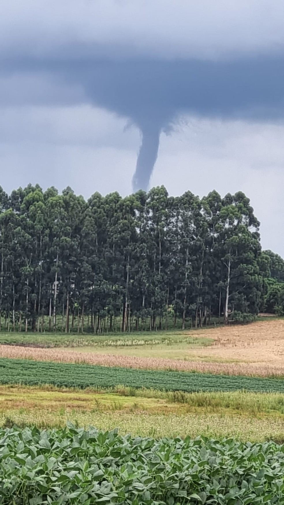 Tornado em J�lio de Castilhos &mdash; Foto: Adriel Piovesan/Galerananet