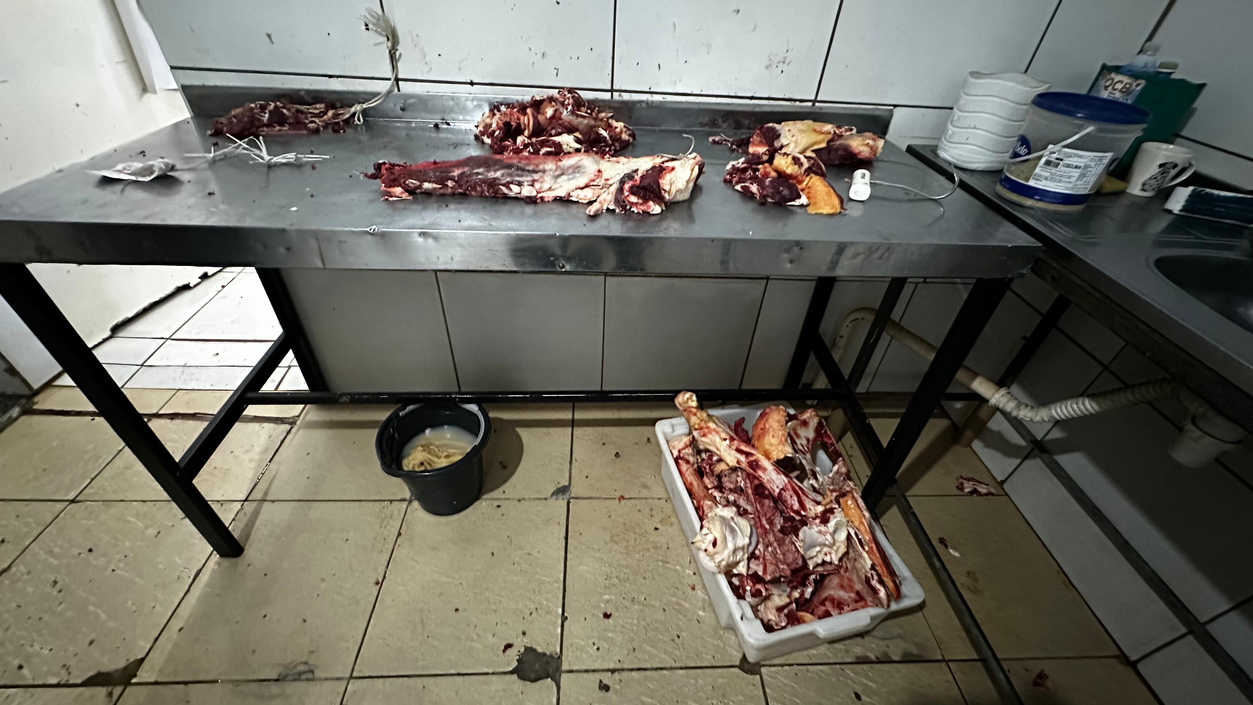 Empresária é presa por vender carne podre, e açougue é interditado em Campo Grande