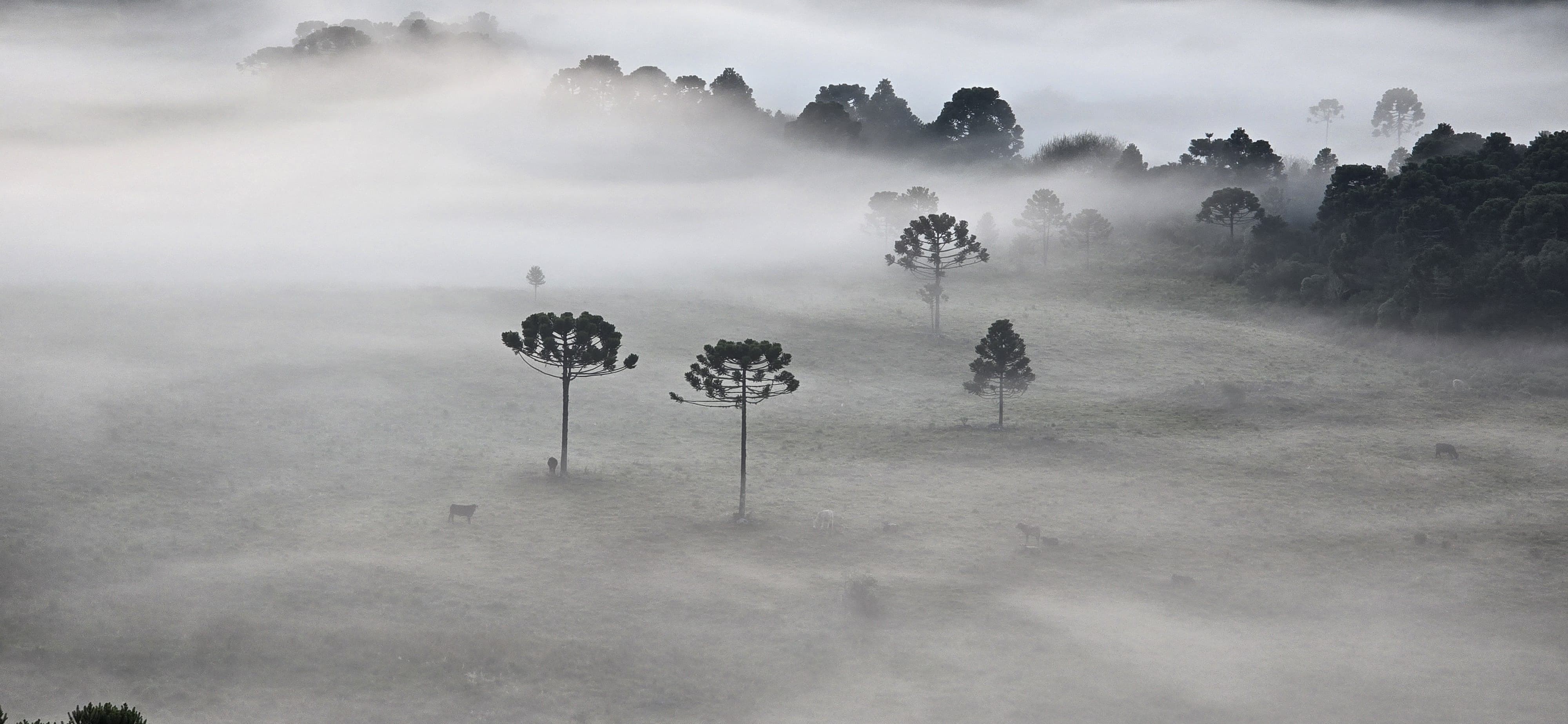 Você Não Tá Convidada pro Meu Bat Mitzvá!