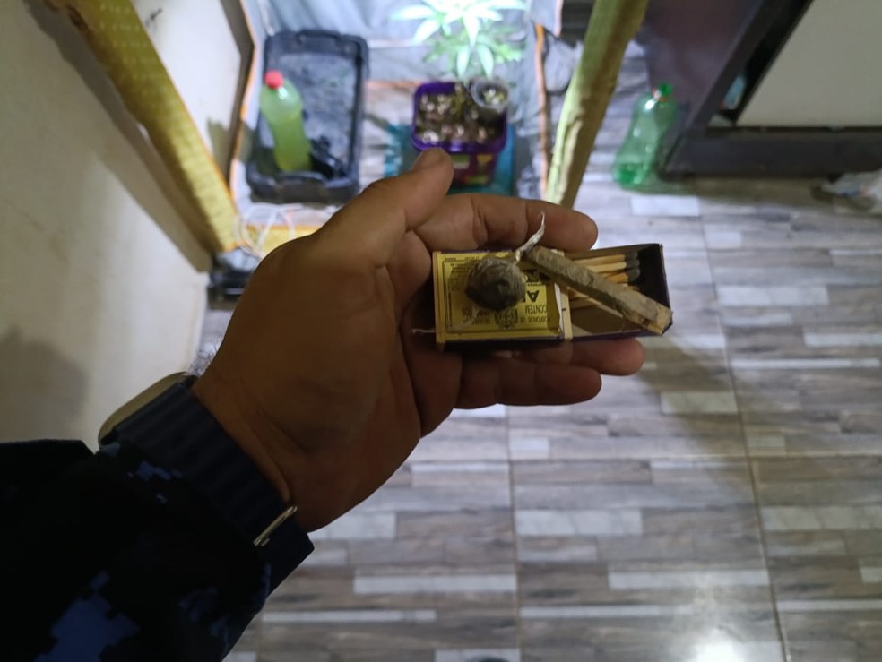 Pés e cigarros de maconha foram encontrados em residência de casal suspeito de maus-tratos a crianças no Ceará — Foto: Reprodução