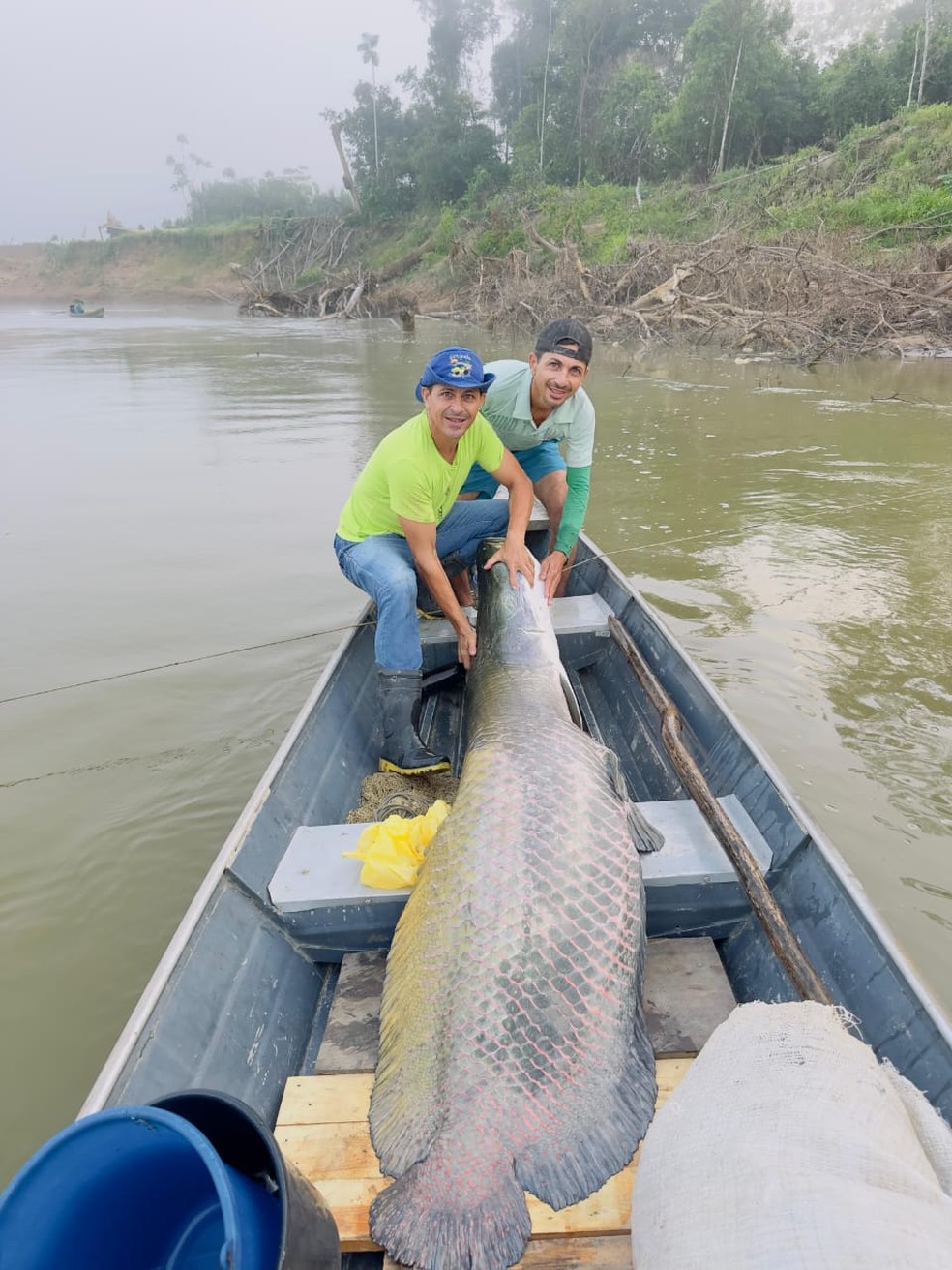 Pirarucu foi pescado no Rio Iaco, em Sena Madureira, no AC — Foto: Arquivo pessoal