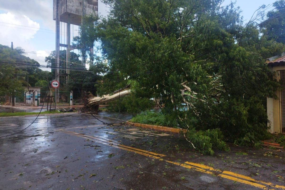 Chuva de granizo, ventos fortes e alagamentos causam transtorno em Campo Grande