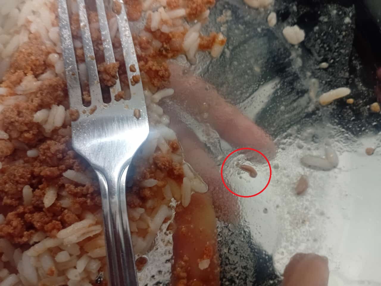 Estudante de escola estadual encontra larva em prato de merenda escolar no interior de SP 