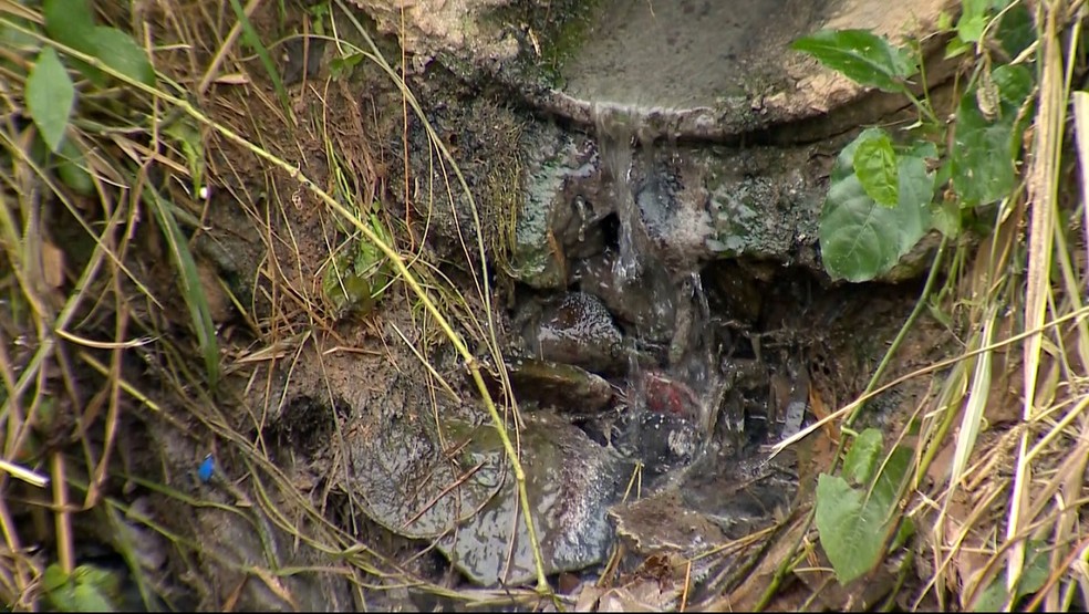 Juiz de Fora está entre os piores índice de esgoto tratado  — Foto: TV Integração/Reprodução