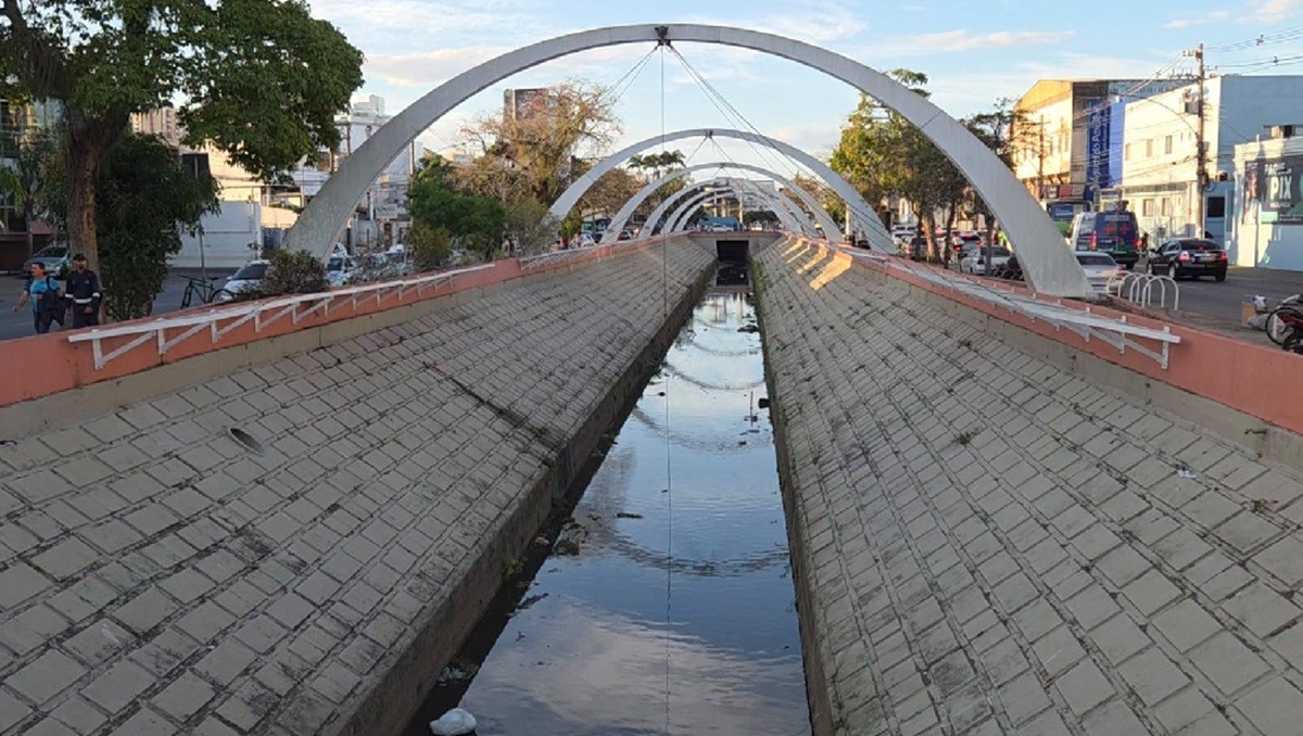Cardume de tilápias e bagres surge em canal de Campos; especialista alerta para risco no consumo