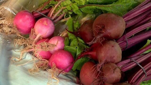 Agricultores do Paraná ampliam uso de sistema de plantio direto para cultivo de hortaliças 