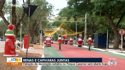 Parque Cesamar é reaberto à visitação com decoração de Natal