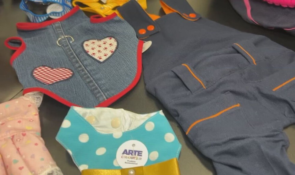 Uniformes antigos são transformados em roupas e produtos para pets em Santa Cruz do Rio Pardo — Foto: TV TEM/ Reprodução