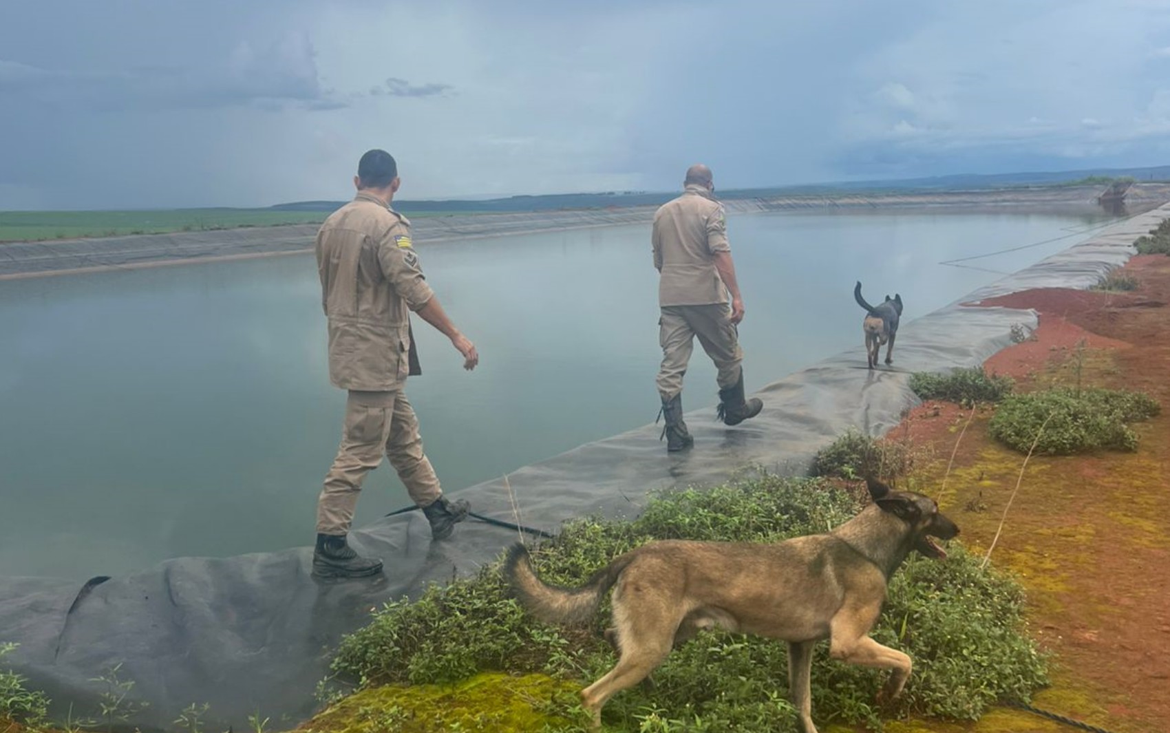 Funcionário de fazenda é encontrado morto após dias desaparecido em Alto Paraíso de Goiás, dizem bombeiros